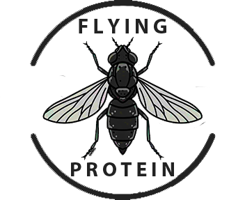 Flying Protein
